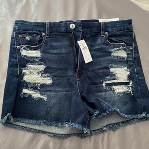 American Eagle Curvy Super Hi-Rose Shortie